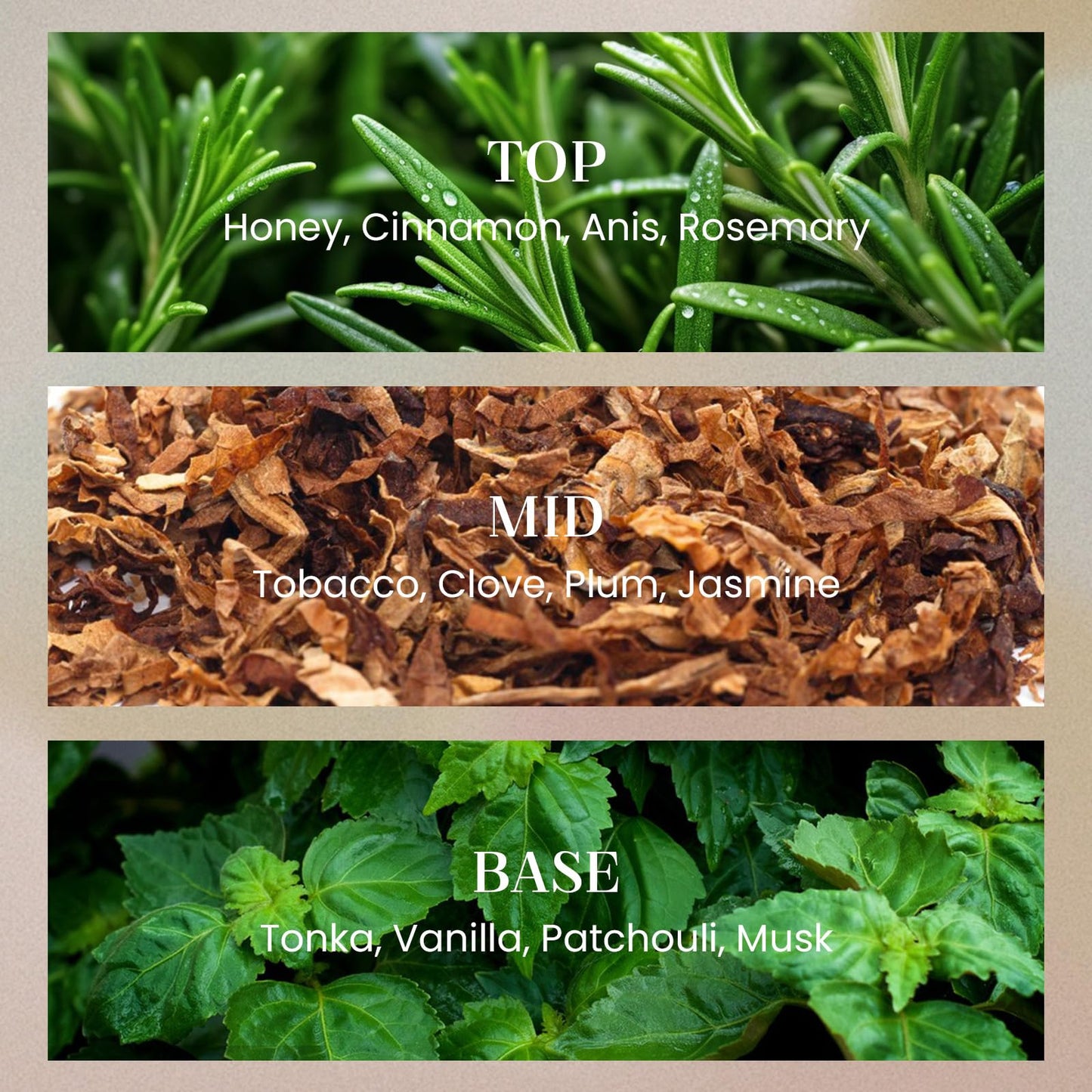 Bellamy's Tobacco Vanilla Apothecary Candle